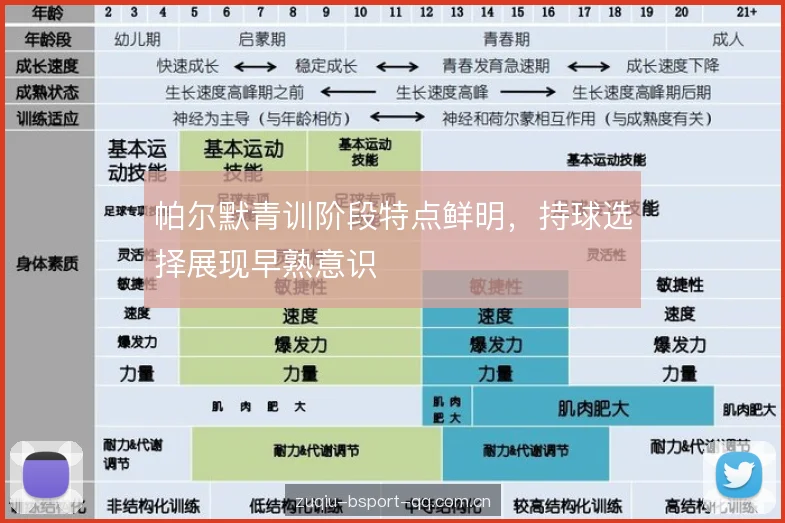 帕尔默青训阶段特点鲜明,持球选择展现早熟意识 帕尔默青训阶段特点鲜明,持球选择展现早熟意识